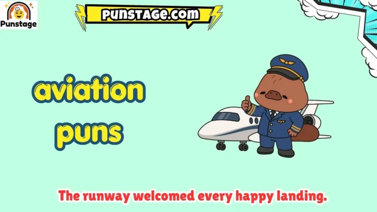 aviation puns