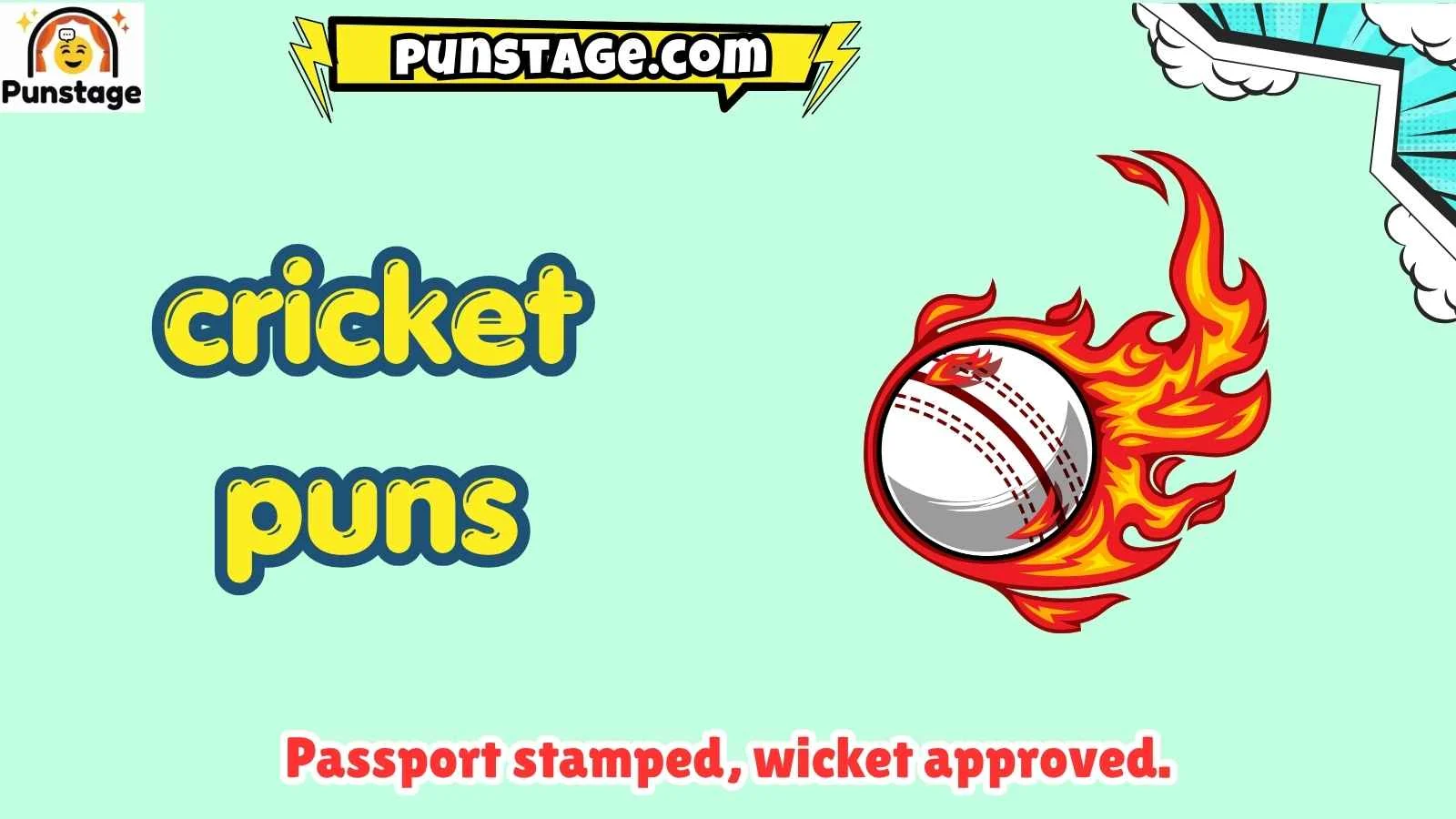 cricket puns