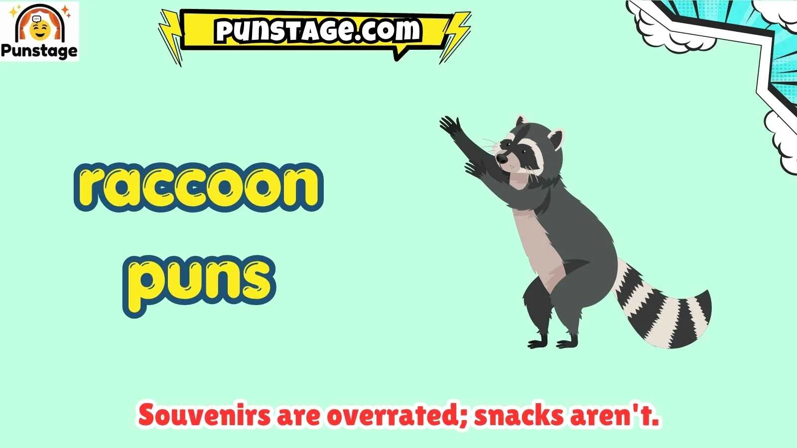raccoon puns
